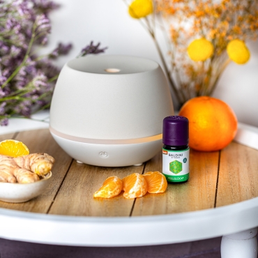 Taoasis - Duftger�te und Duftlampen