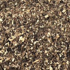 Alantwurzel (Inula helenium)