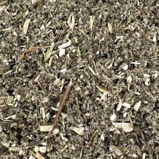 Beifu�kraut (Artemisia vulgaris)