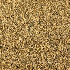 Holunderbl�ten (Sambuci flos)