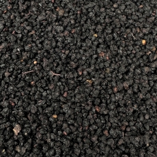 Holunderbeeren (Sambuci fructus)