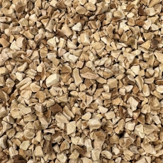 Iriswurzel (Iris germanica L.)