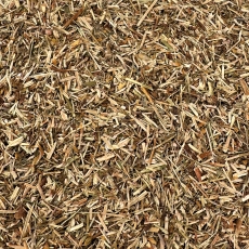 Johanniskraut (Hyperici Herba conc.)