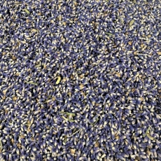 Rucherkruter Lavendel (60ml-Glas)
