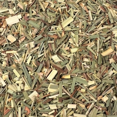 Lemongras (Cymbopogon flexuosus)