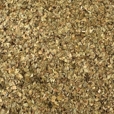 Lorbeerbl�tter (Laurus nobilis)