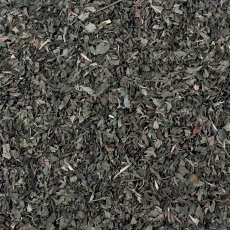 Pfefferminzkraut (Mentha piperita conc.)