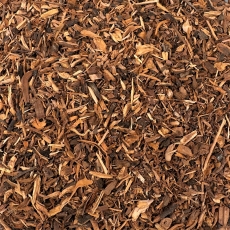 Ratanhiawurzel (Ratanhiae radix)