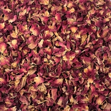 Rosenbl�ten (Rosa damascaena)