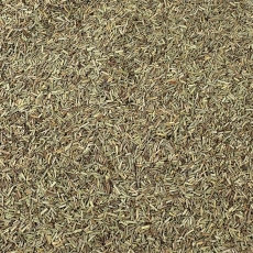 Rosmarin (Rosmarini Folia conc.)