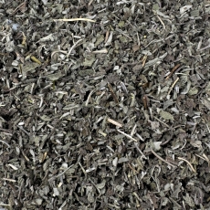 Salbeibl�tter (Salvia offic. Folia conc.)