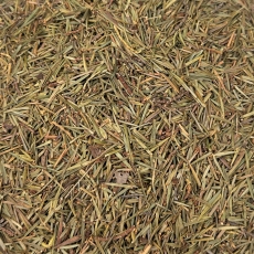 Wacholderspitzen (Juniperi Sum. tot.)