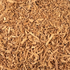 Sandelholz wei� (Santalum album)