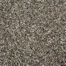 Thymian spanisch (Thymi span. Herba)