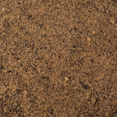 Tonkabohne gemahlen (Dypteryx odorata)