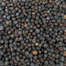 Wacholderbeeren (Juniperi fructus)