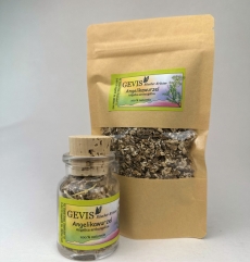 Angelikawurzel (Angelica archangelica) - Echte Engelwurz