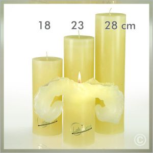 Lotus Kerze Elfenbein Gr. II - 23cm