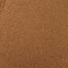 Wacholder Himalaya (Juniperus macropoda)