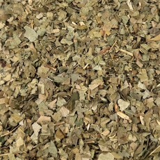 Eschenbl�tter (Fraxinus excelsior L.)