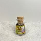 Alantwurzel (Inula helenium)