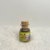 Zypresse (Cypressus sempervirens)