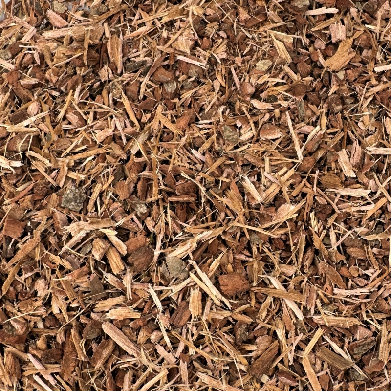 Eichenrinde (Quercus cortex)