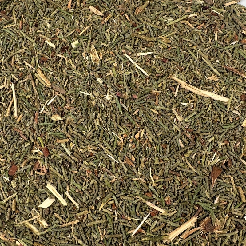 Zypresse (Cypressus sempervirens)