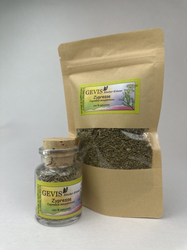 Zypresse (Cypressus sempervirens)