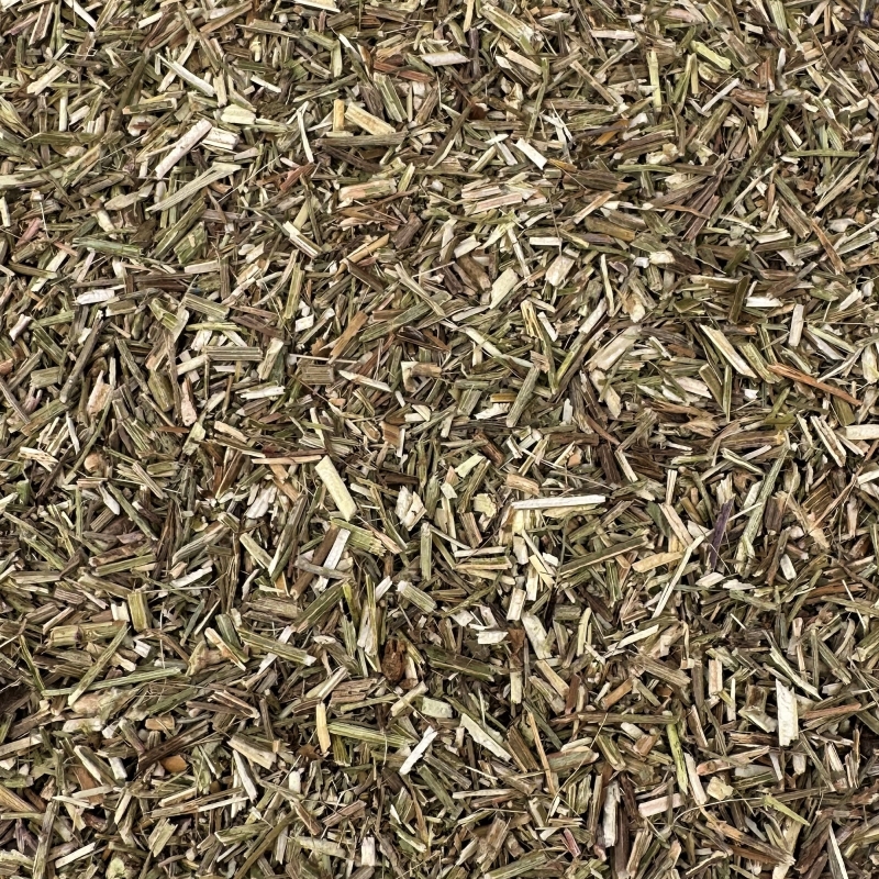 Eisenkraut (Verbena officinalis)