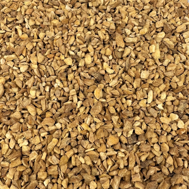 Ingwerwurzel (Zingiber officinale)