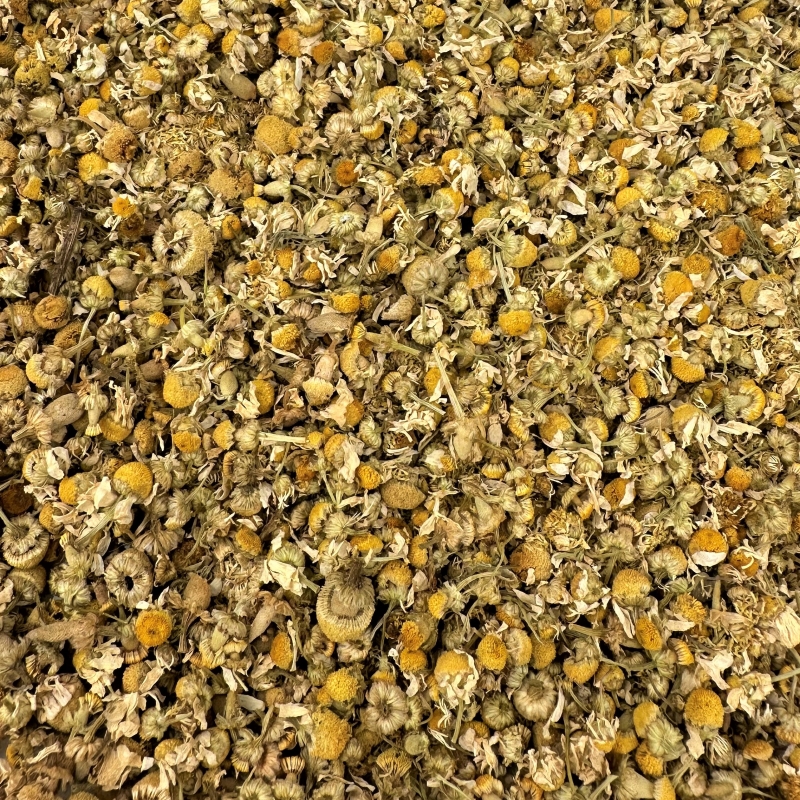 Kamillenbl�ten (Matricaria chamomilla)