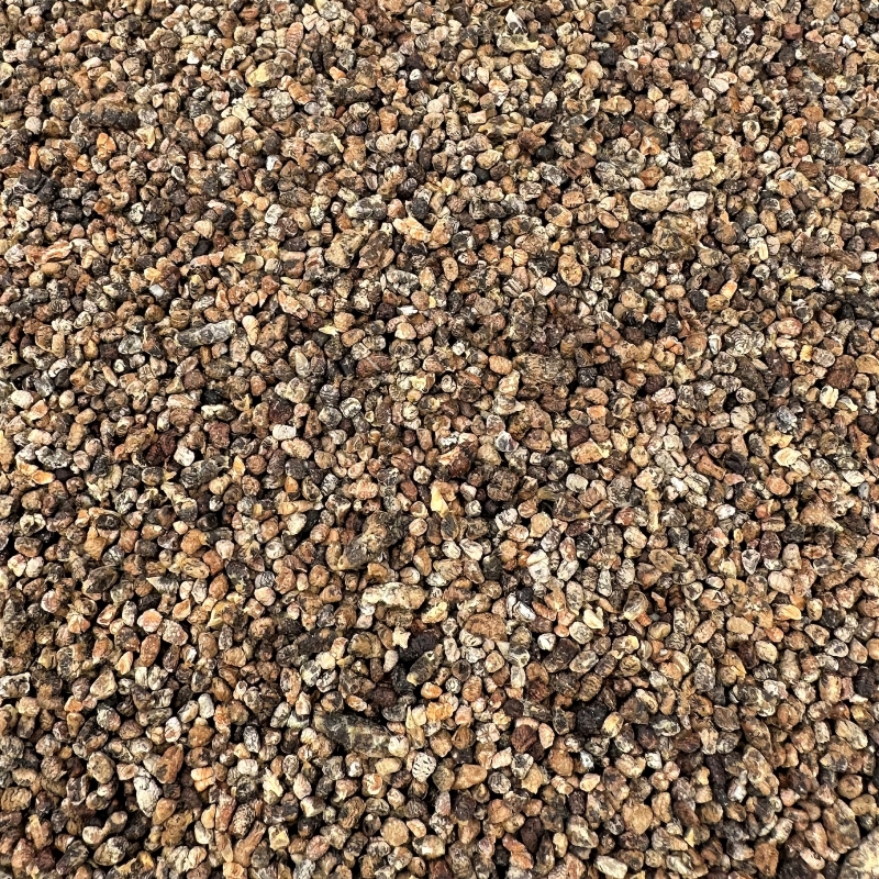 Kardamom ohne Schale (Elettaria cardamomum)