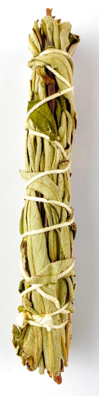 Rucherkruter &quote;Cistrose&quote; Rucherstab