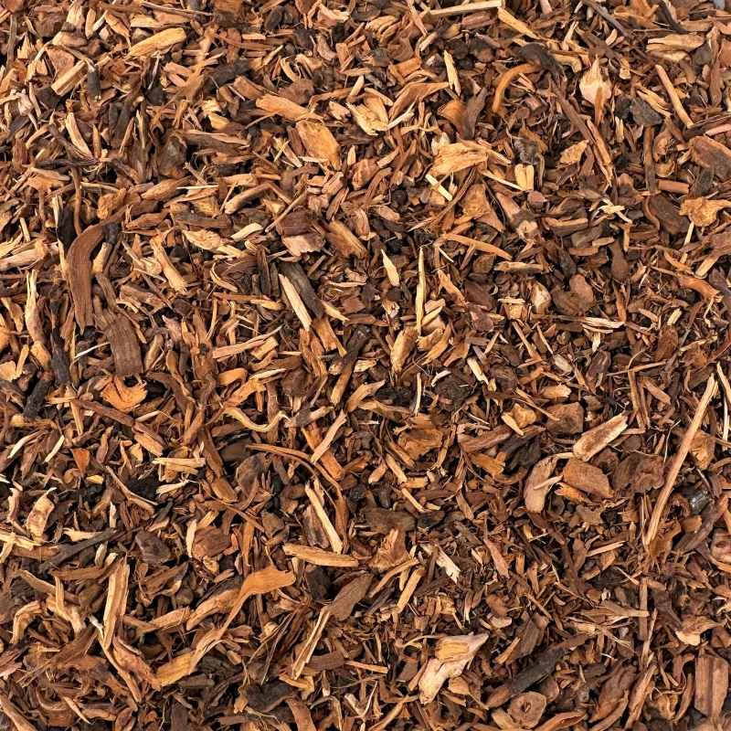 Ratanhiawurzel (Ratanhiae radix)