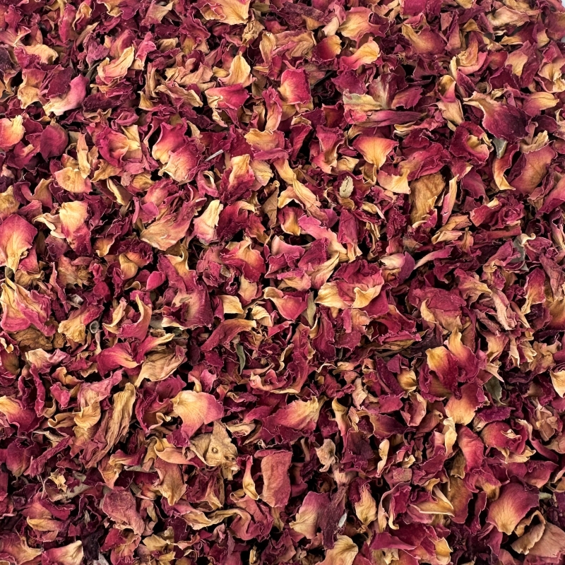 Rosenbl�ten (Rosa damascaena)