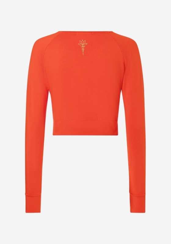 Crop Shirt langarm &quote;Jathara&quote; - harissa