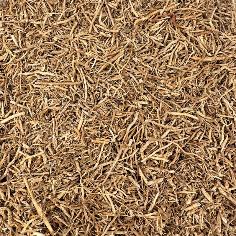 Vetiver (Vetiveria zizanioides)