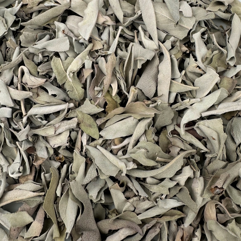 White Sage - Wei�er Salbei (Salvia apiana)