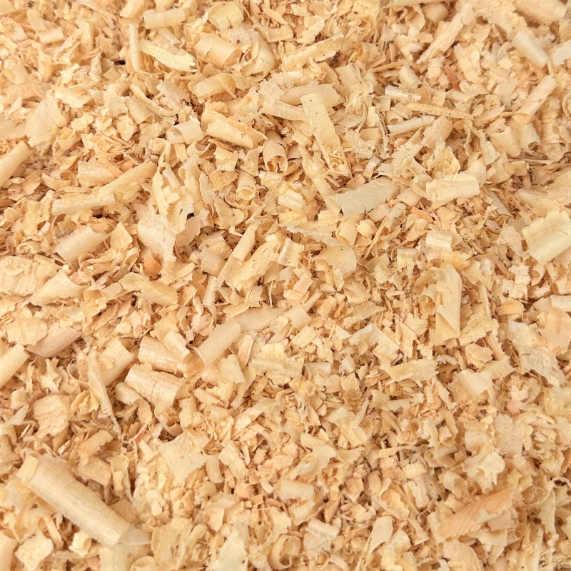 Zirbenholz (Pinus cembra)