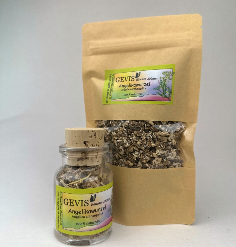 Angelikawurzel (Angelica archangelica) - Echte Engelwurz
