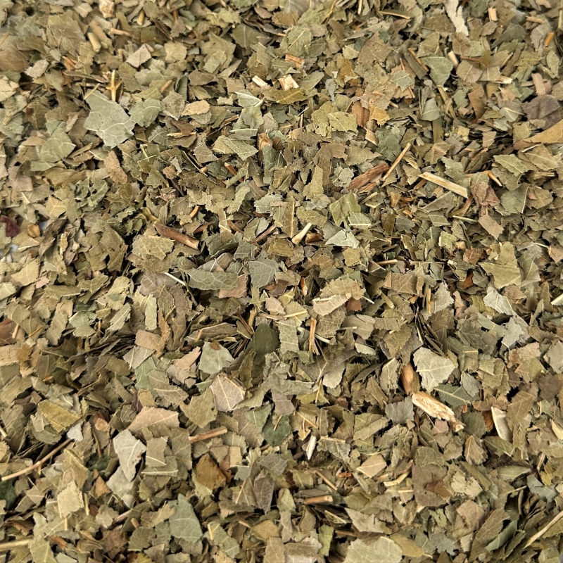 Eschenbl�tter (Fraxinus excelsior L.)