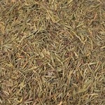 Wacholderspitzen (Juniperi Sum. tot.)