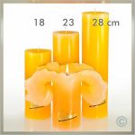 Lotus Kerze Goldgelb Gr. II - 23cm